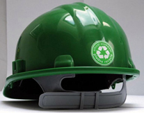 Environmentally Responsible Painting Contractor